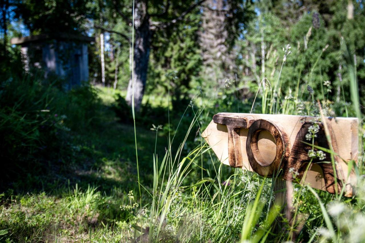 Bakgarden I Revsund