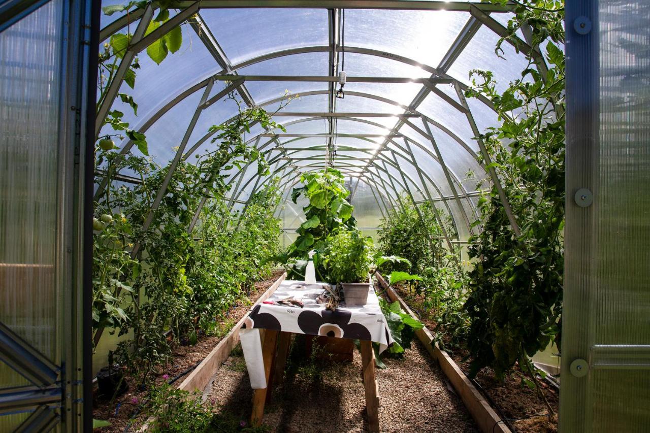 Bakgarden I Revsund Huvilat